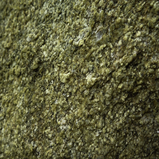 Before: Original camouflaged image