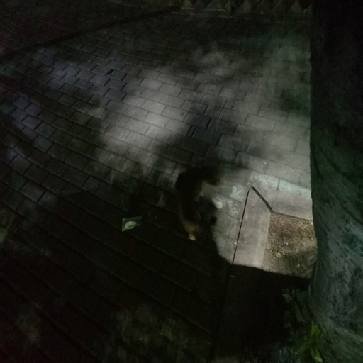 Before: Original camouflaged image